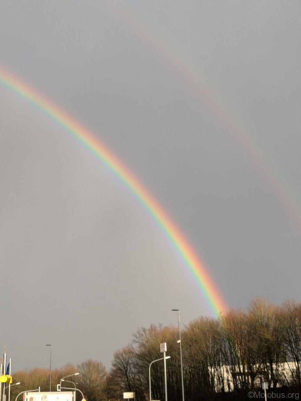 Voller Regenbogen im Winter