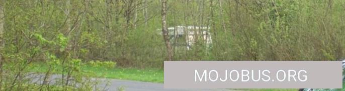 In Hooksiel kostenlos und frei stehen im Wald