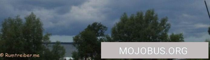 Max tut es tatsächlich! Stellplatz Beckerwitzer Strand