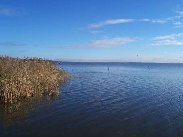 Am Steinhudermeer