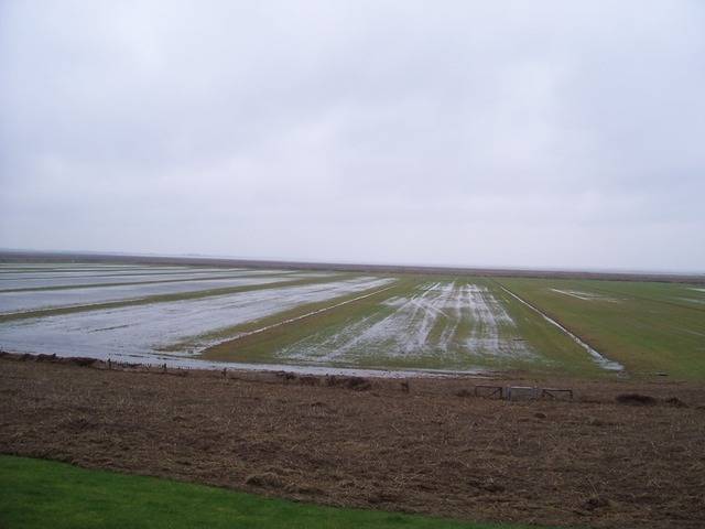 Salzwiesen nach der Sturmflut