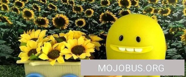 Ich liebe dich Sonne ... schein Sonne schein