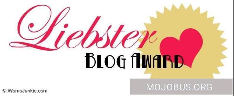 , Liebster Award Blogstöckchen 11 Fragen an WomoJunkie