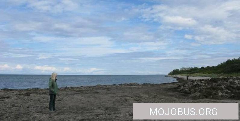 Insel Poel ein Wohnmobil Stellplatz mit Klimmzügen