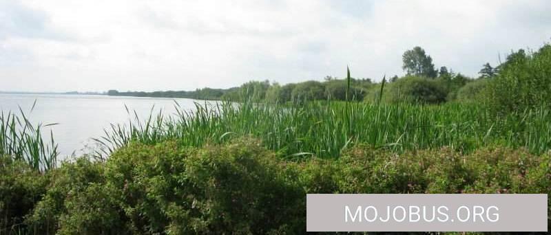 Dümmersee das Segelparadies und kostenfreier Wohnmobilstellplatz