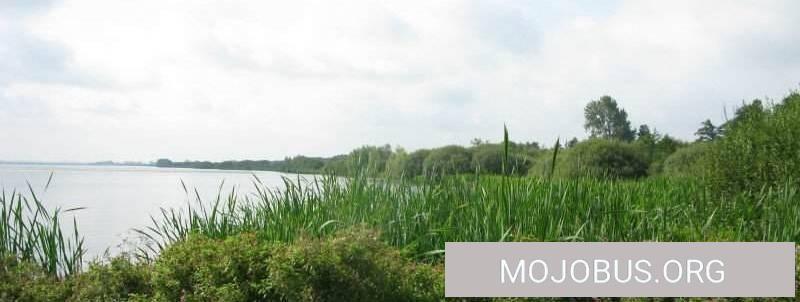 Wohnmobilstellplatz 49401 Dümmerlohausen / Dümmer / Niedersachsen