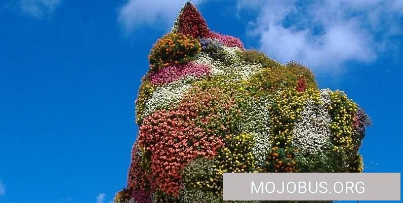 Bilbao, eine faszinierende Stadt auch mit dem Wohnmobil