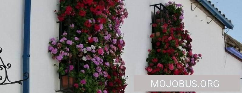 Wohnmobil Tour Spanien Cordoba Andalusien