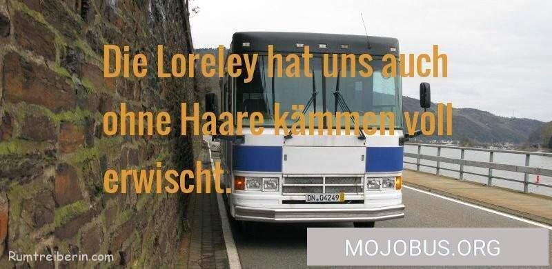 Die Loreley hat uns auch ohne Haare kämmen voll erwischt