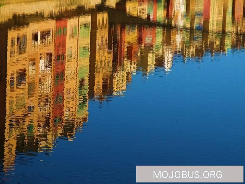 Aluleisten und Zwischenwände kleben mit Sikaflex 11FC