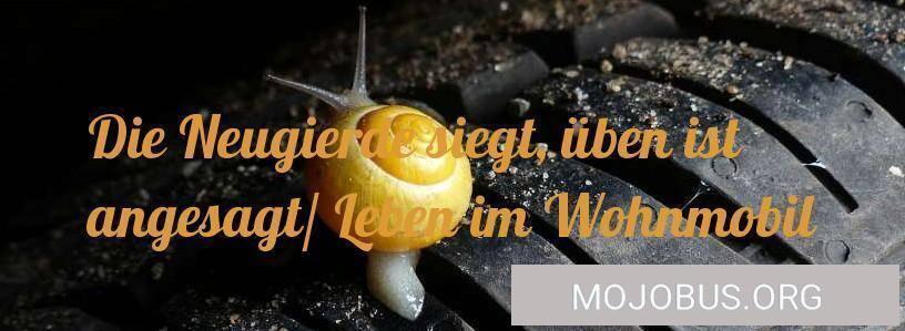 Die Neugierde siegt, üben ist angesagt/ Leben im Wohnmobil