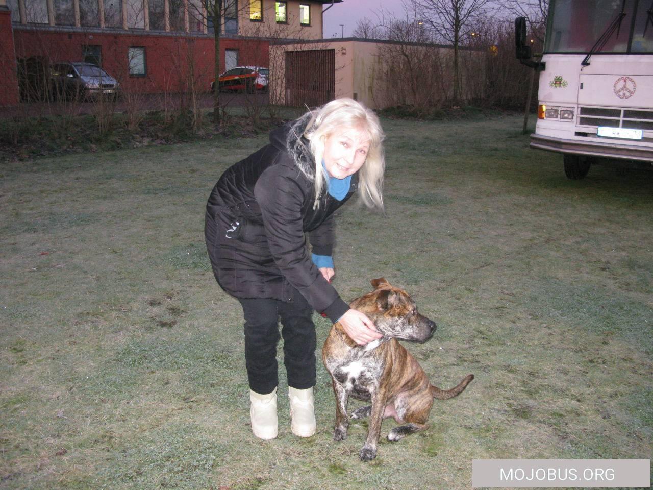 Das Schicksal brachte uns zusammen, unsere Fellnase zieht ins Wohnmobil ein