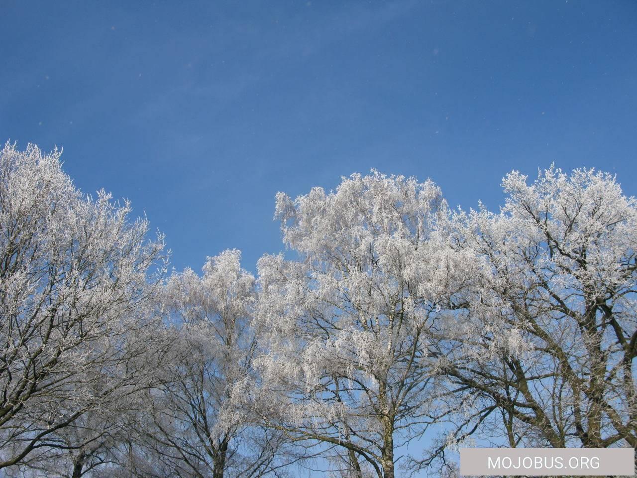 Albtraum Wohnmobil Gletschermobil