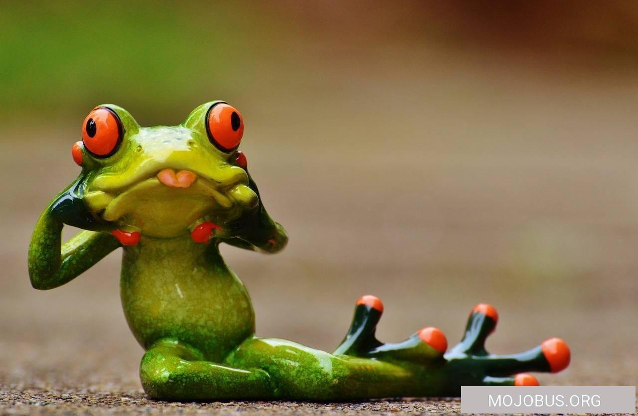 Wie das Leben so spielt....