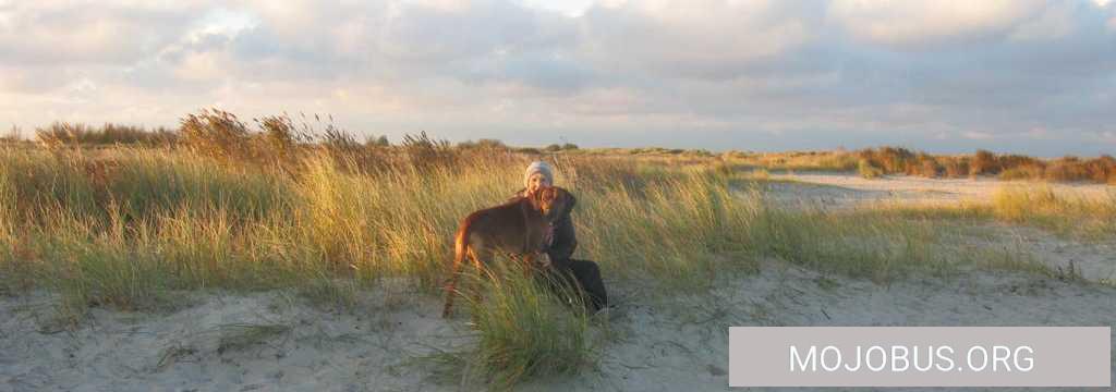 Fremdartige Töne aus dem Nordseewatt....Wohnmobilreise Nordsee