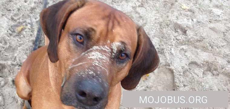 Mal wieder mit dem Wohnmobil gestrandet...