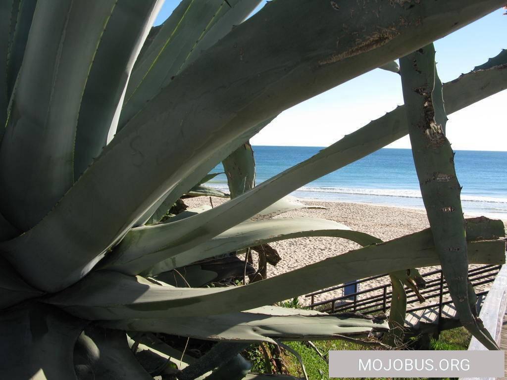 Praia da Dos Tomates - Vblog/Bilder des Tages