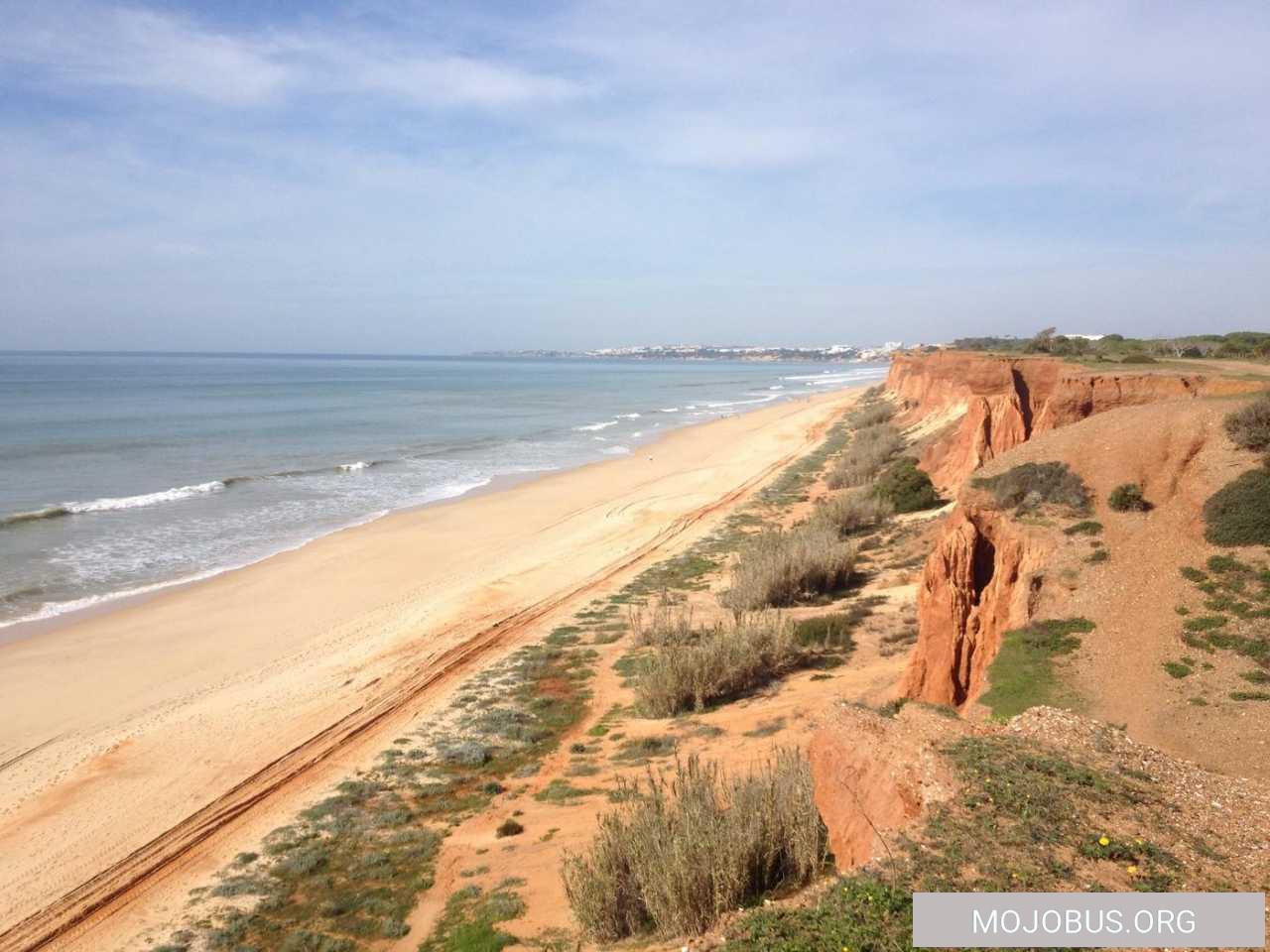 , Tomaten Strand  das kleine Paradies