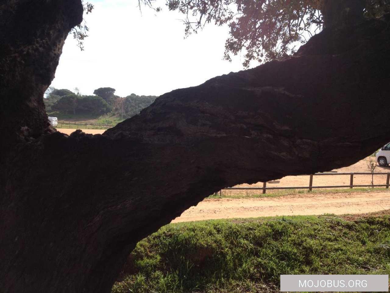 VBlog/Bilder 19.2.2017 Tomaten Strand