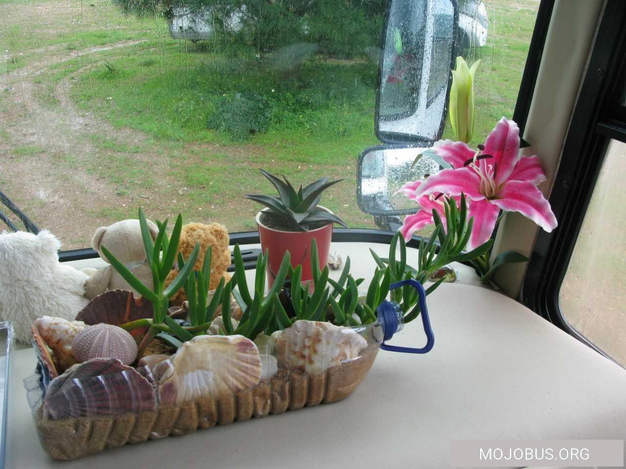 Dauerregen und Kälte ....Portugal friert...wir auch.