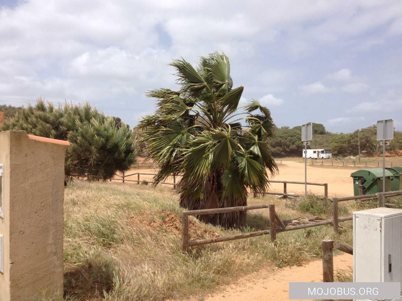 80km/h Sandsturm an der Algarve....was ziehe ich an? Bilder des Tages