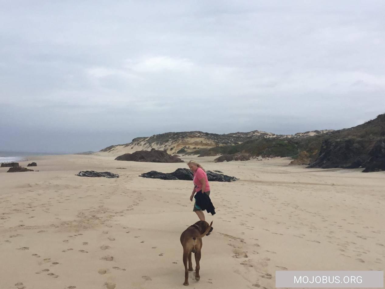Urzeitliche Bucht in Portugal mit einem tollen Stellplatz zwischen Dünen