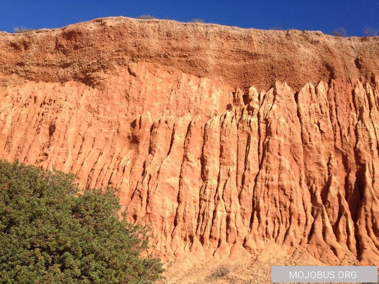 Bilder des Tages/ An der Algarve nahe Vilamoura