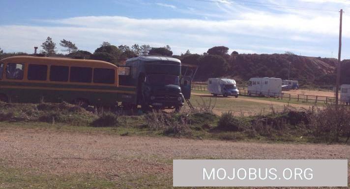 Bilder des Tages/ Alte Schätzchen