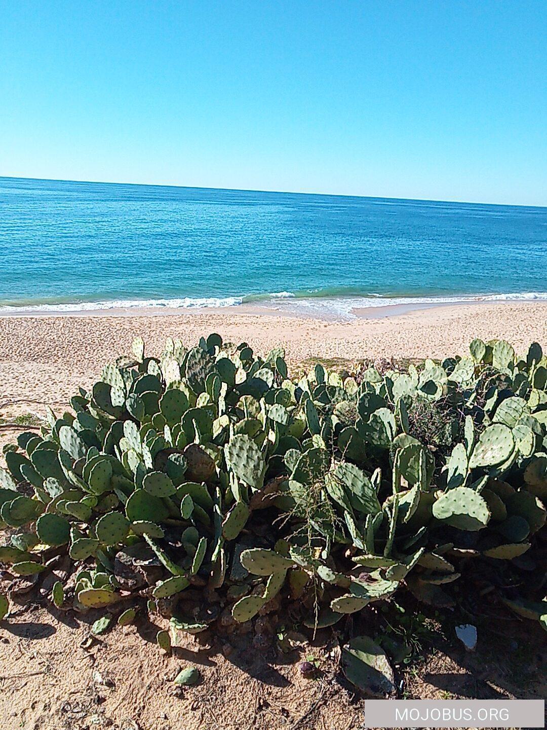 Winter an der Algarve