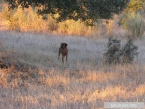 IMG_8415