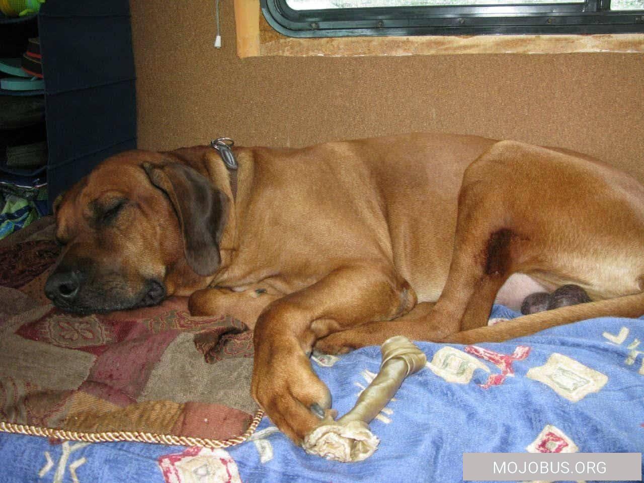 Weser-frei-stehen-13-1