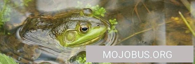 Wohnmobil Kurztrip zum Timmeler Meer in Niedersachsen