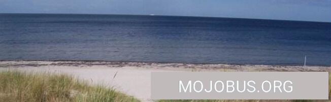 Lebensfreude auf der Insel Rügen/ Waldparkplatz Wittow/Hafen Wiek