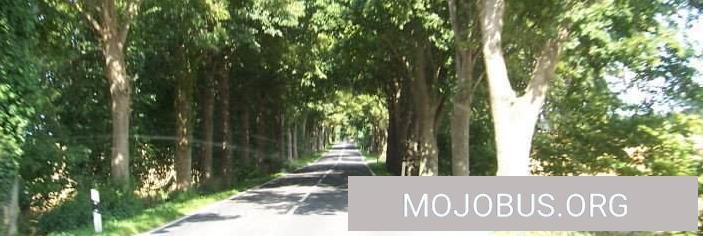 Der Ultimative Womo-Eichen-Allee-Enge-Test auf der Insel Rügen