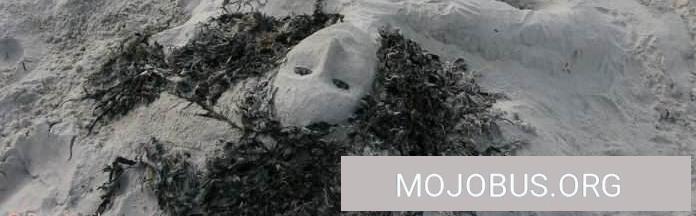 Max formt sich seine Traumfrau, Frei Stehen auf der Insel Rügen