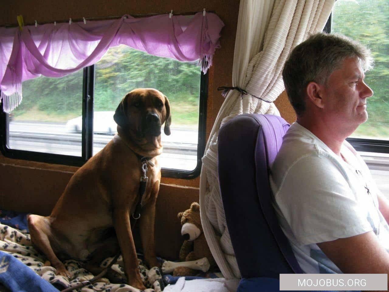 , Ein großer Hund im Wohnmobil &#8230;muss ich da Bedenken im Ausland haben??