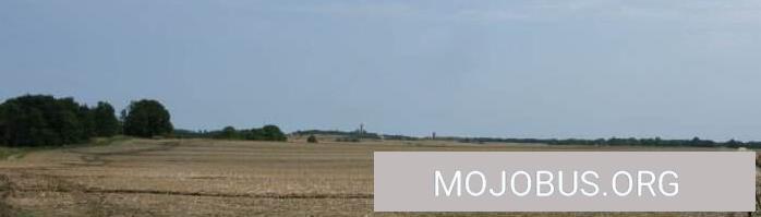 Eine Fellnase wird zum Eiskalten Killer