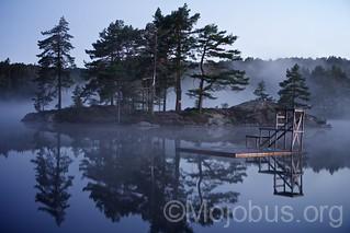 Kleine Insel mit Kiefern im Nebel, ruhiger See mit Holzsteg, spiegelnde Naturidylle bei Sonnenaufgang.