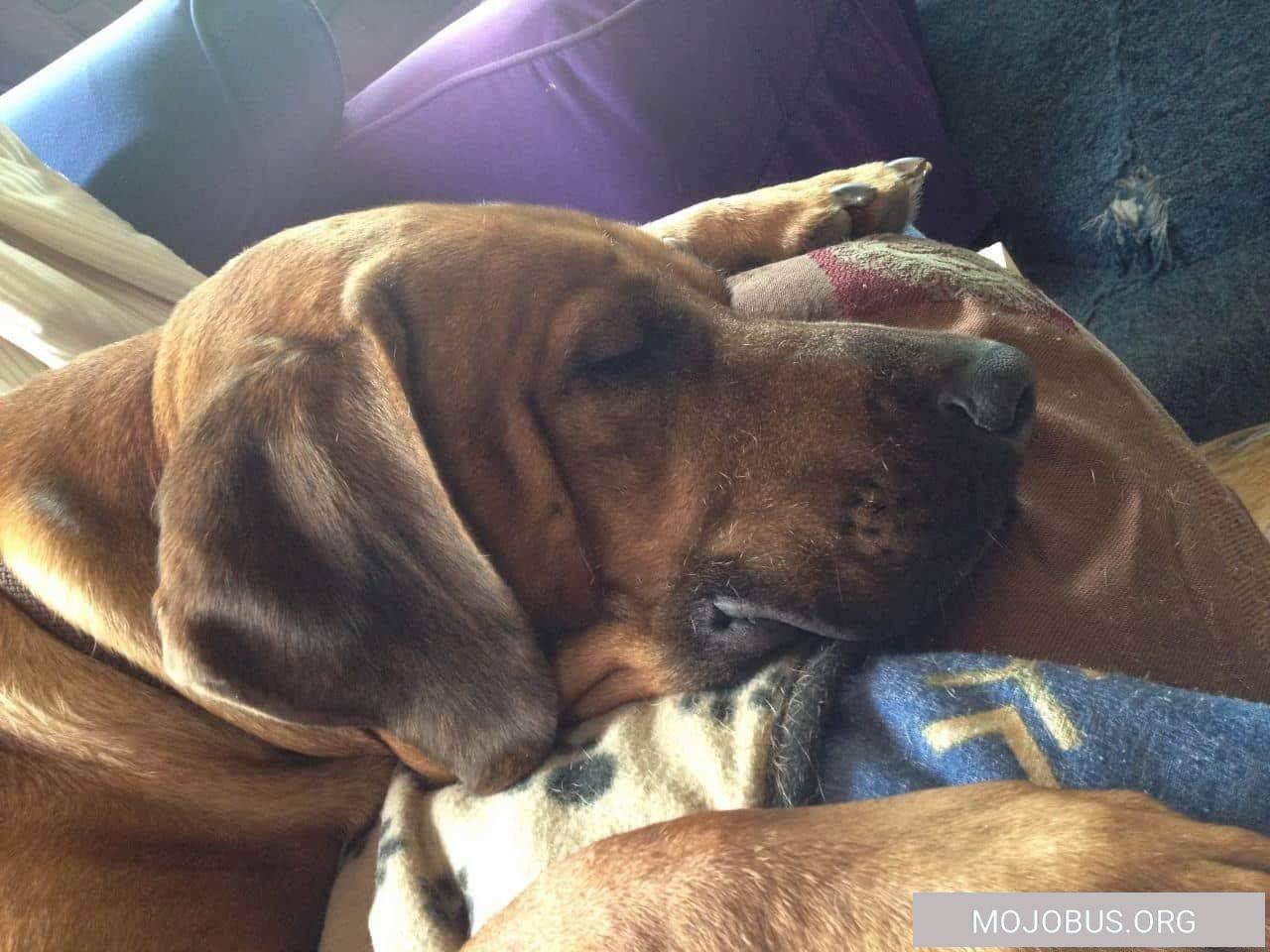 usedom-karlshagen-strand-20160621T134000-1